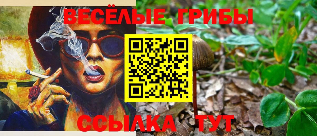 Псилоцибиновые грибы мицелий Красноярск